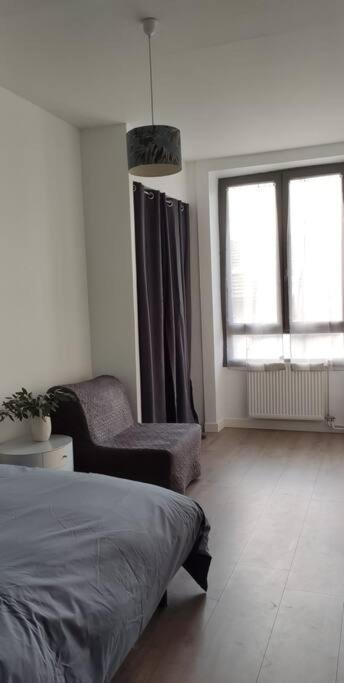サン・テティエンヌLogement 5 Personnes Proche Cv Et Parking Priveアパートメント エクステリア 写真