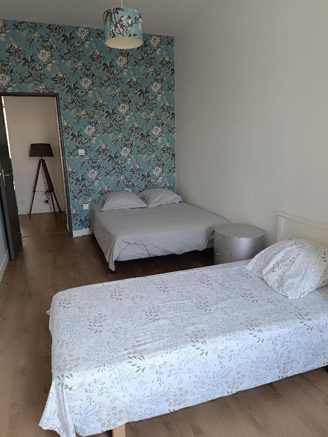 サン・テティエンヌLogement 5 Personnes Proche Cv Et Parking Priveアパートメント エクステリア 写真